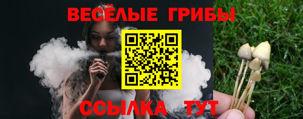 Галлюциногенные грибы Psilocybine cubensis  Псилоцибиновые грибы прущие грибы  Вход с VPN  Приморско-Ахтарск 
