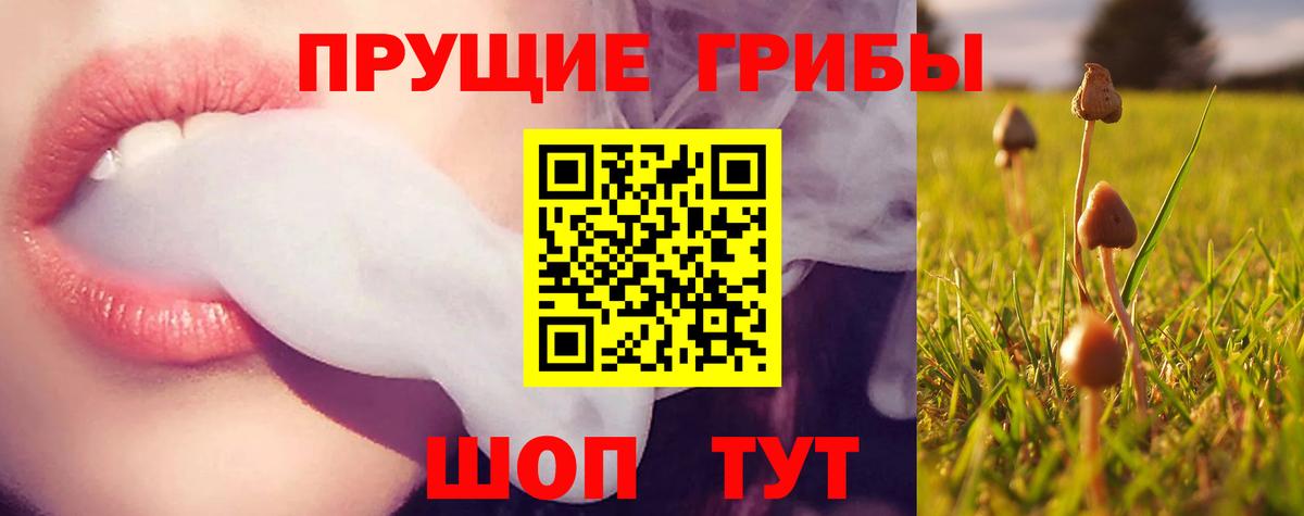 Псилоцибиновые грибы MAGIC MUSHROOMS Приморско-Ахтарск